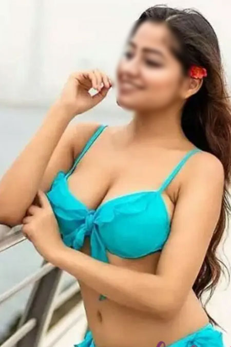 About Escort Pallavi 